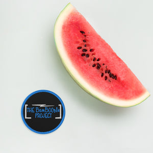 BamBOOzle Project Blue Embroidered patches